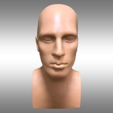 Erkek Büst Kafa Mankeni
